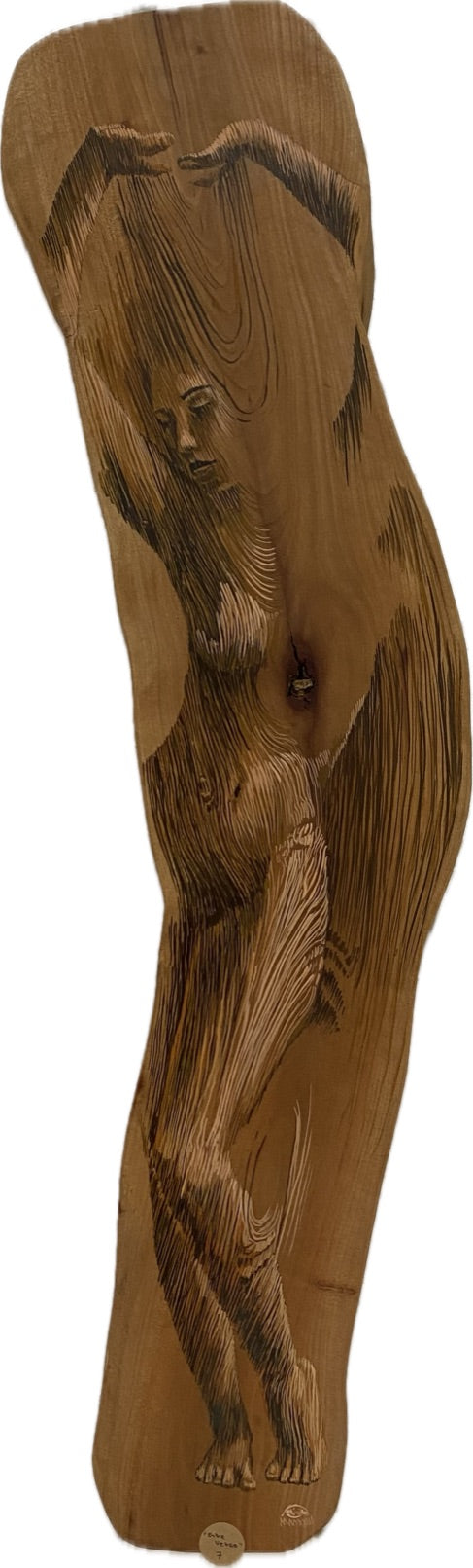 Los Años de un Arbol