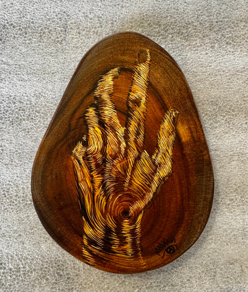 Los Años de un Arbol