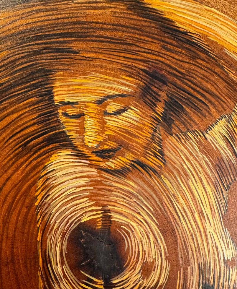 Los Años de un Arbol