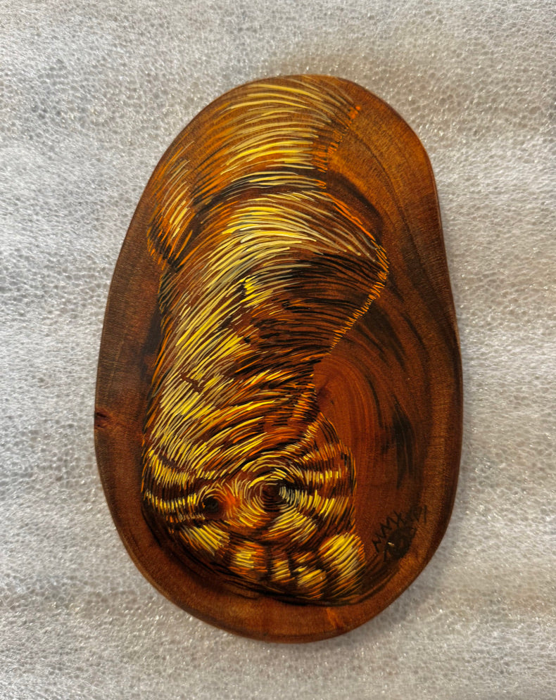 Los Años de un Arbol