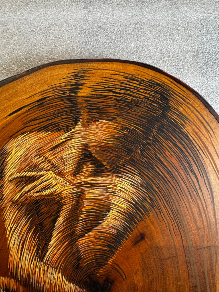 Los Años de un Arbol