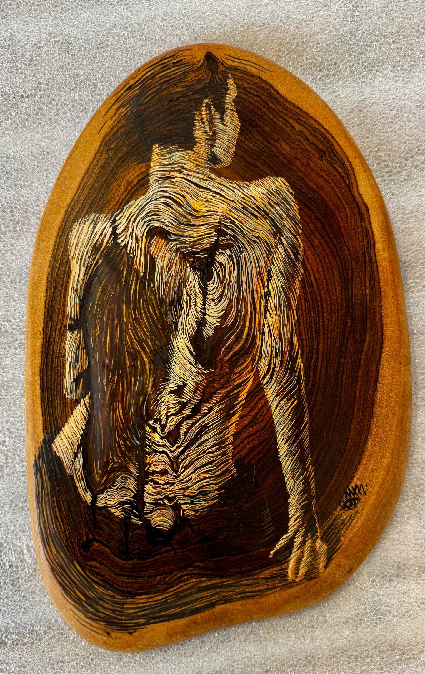 Los Años de un Arbol