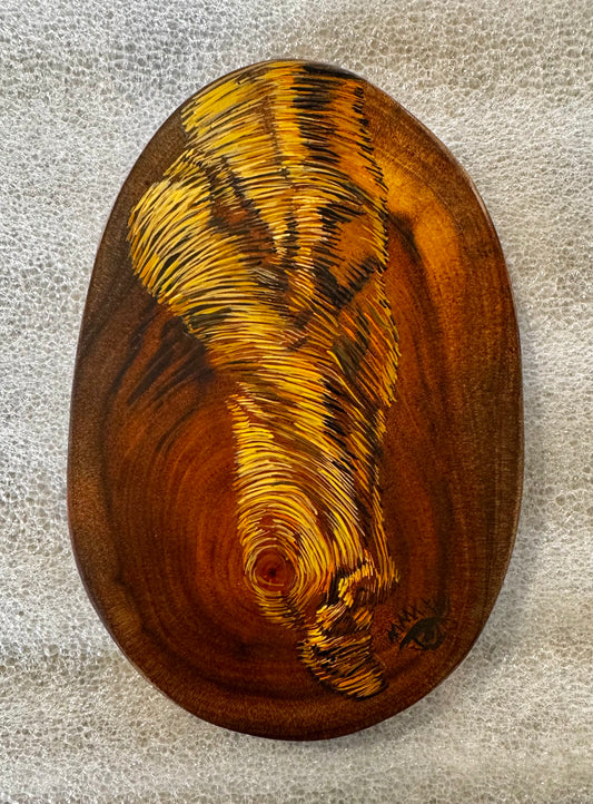 Los Años de un Arbol