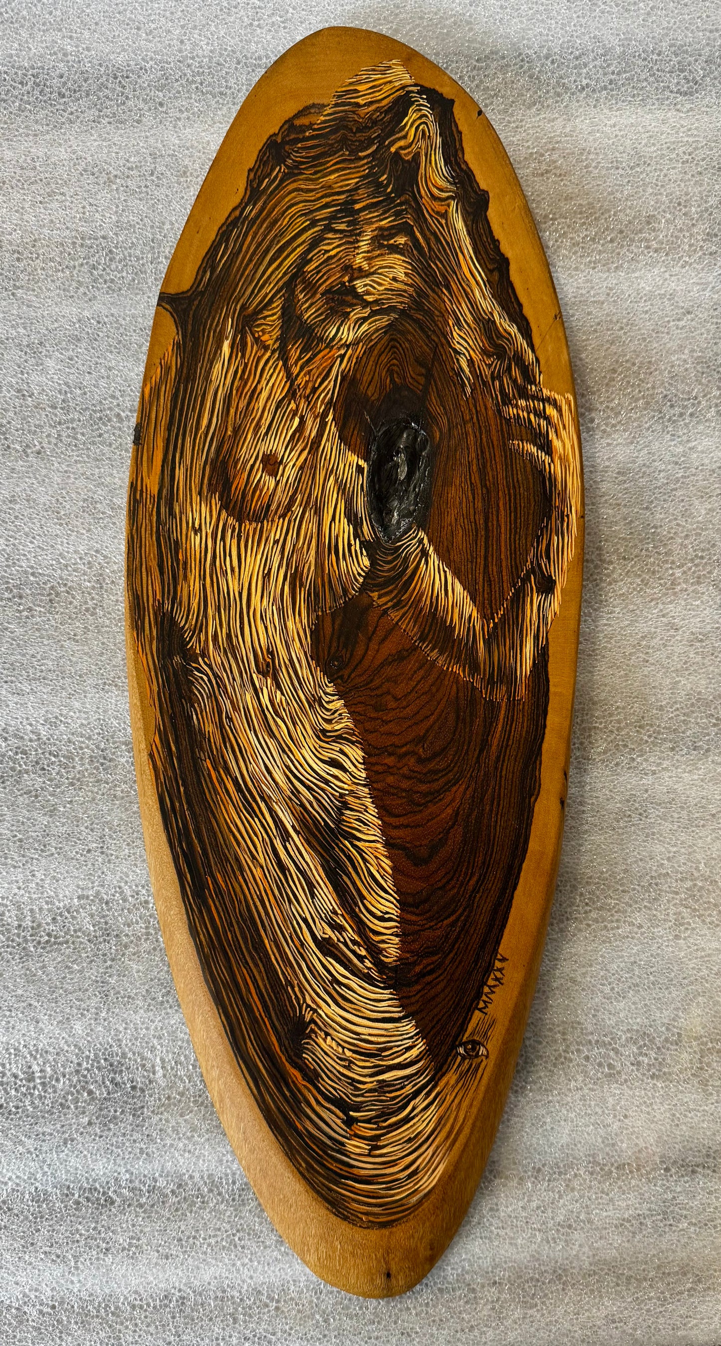 Los Años de un Arbol