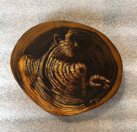 Los Años de un Arbol