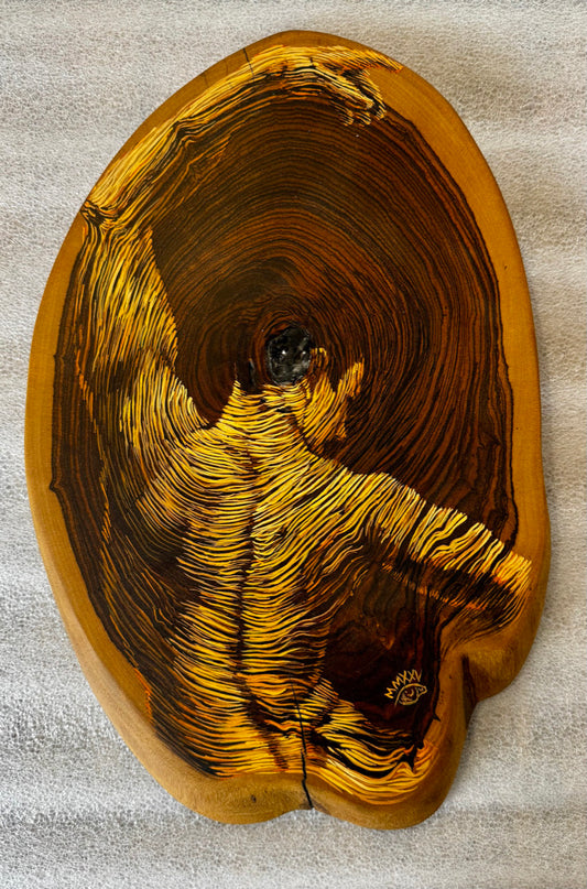 Los Años de un Arbol