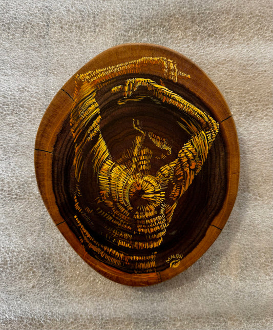 Los Años de un Arbol