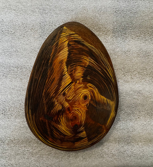 Los Años de un Arbol