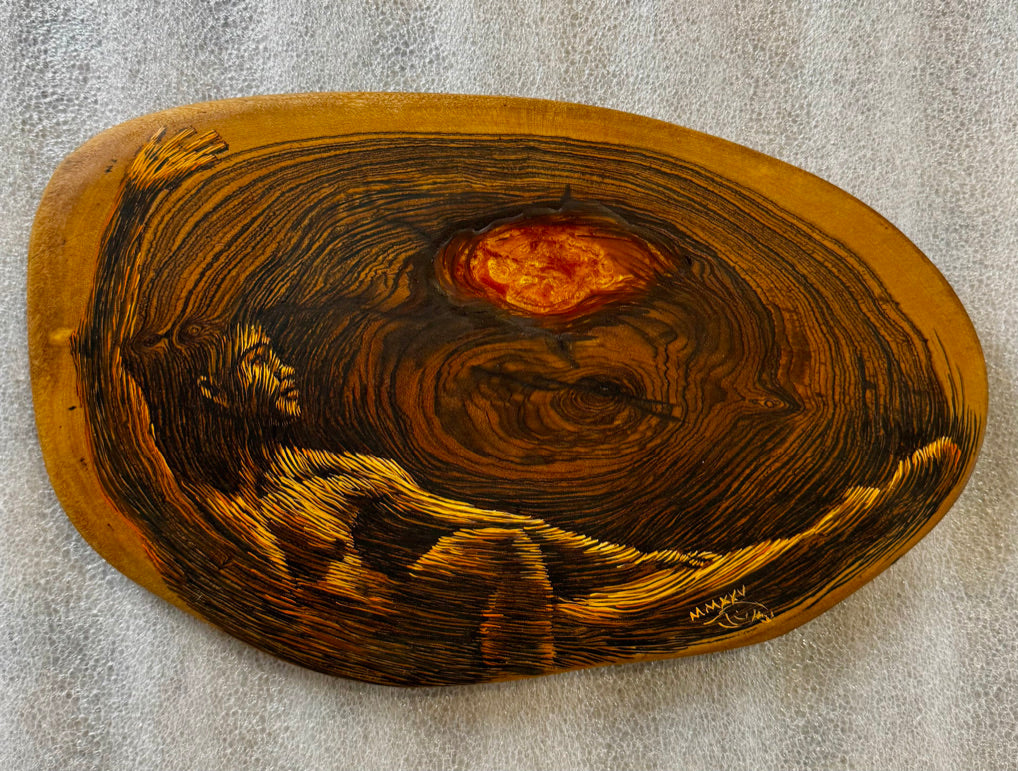 Los Años de un Arbol