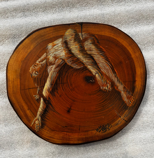 Los Años de un Arbol