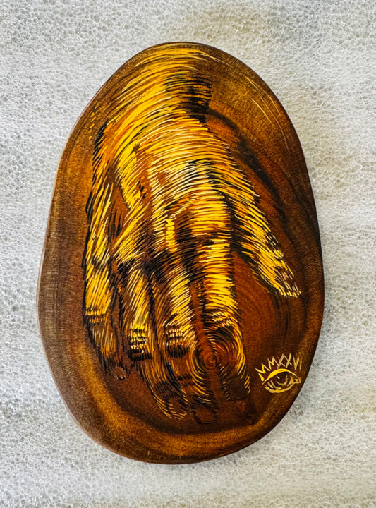 Los Años de un Arbol