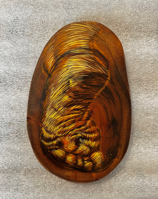 Los Años de un Arbol