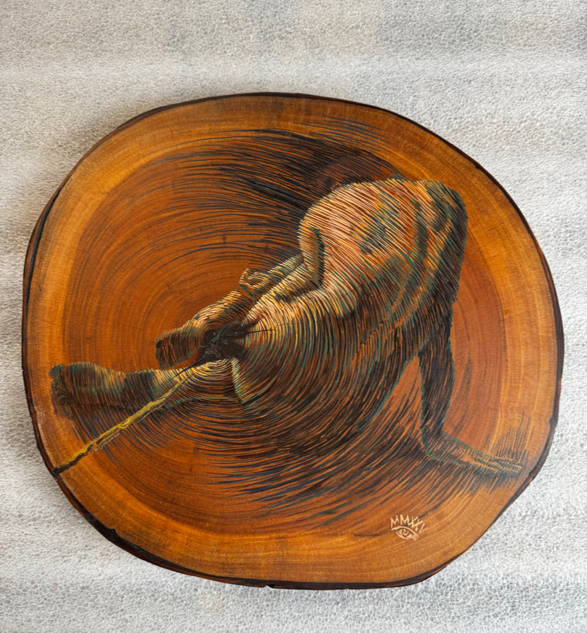 Los Años de un Arbol