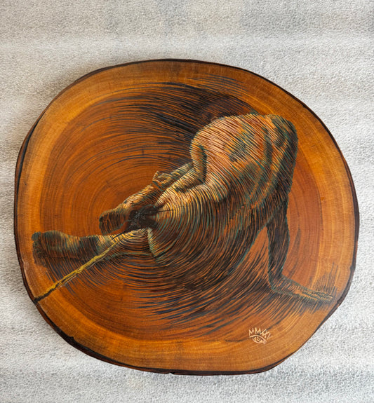 Los Años de un Arbol