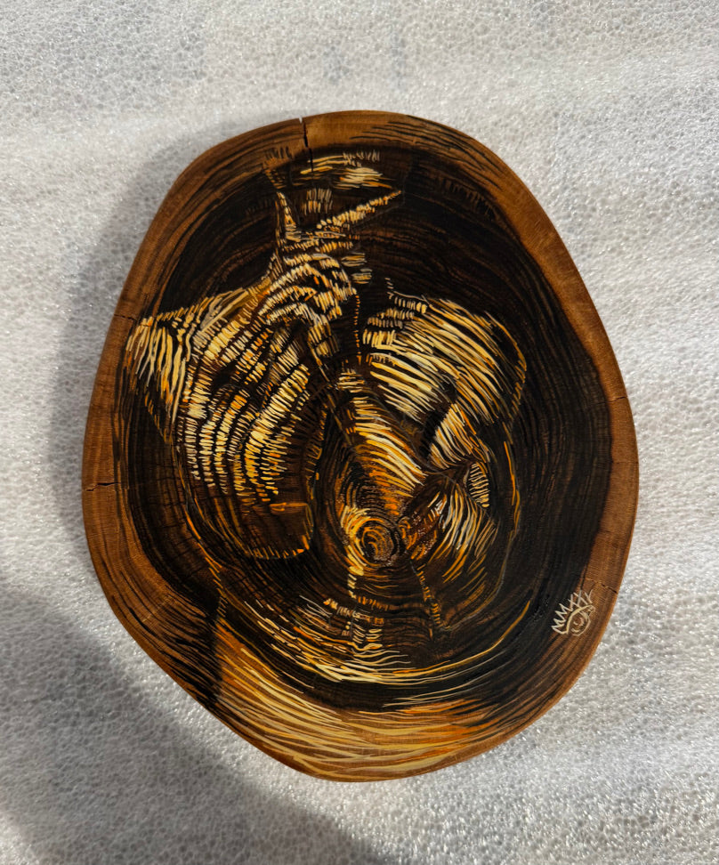 Los Años de un Arbol