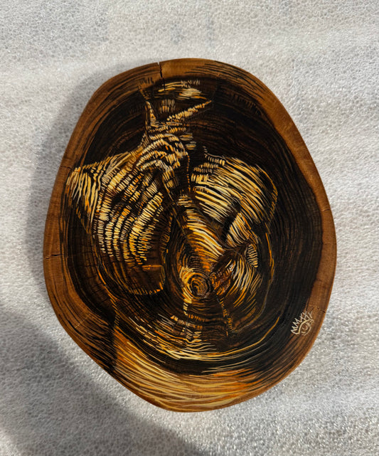 Los Años de un Arbol