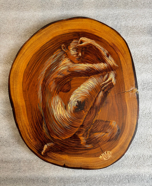 Los Años de un Arbol