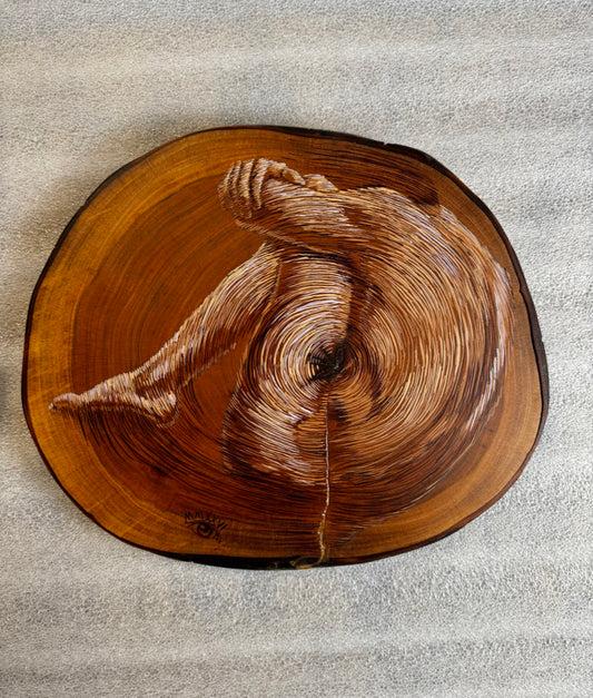 Los Años de un Arbol