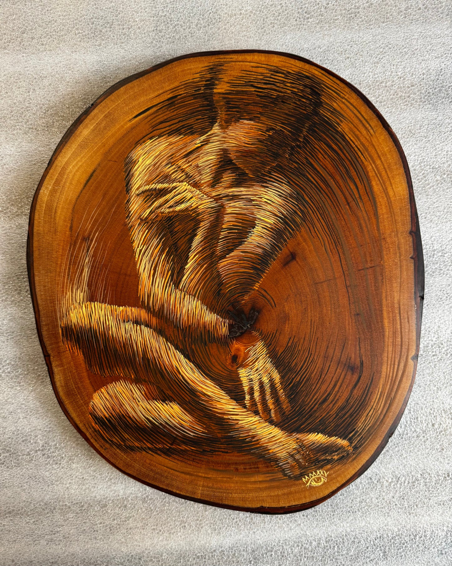 Los Años de un Arbol