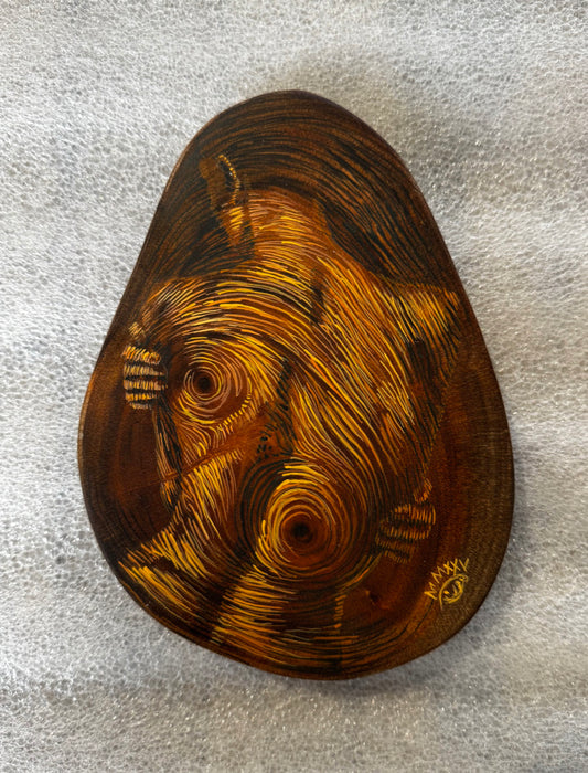 Los Años de un Arbol